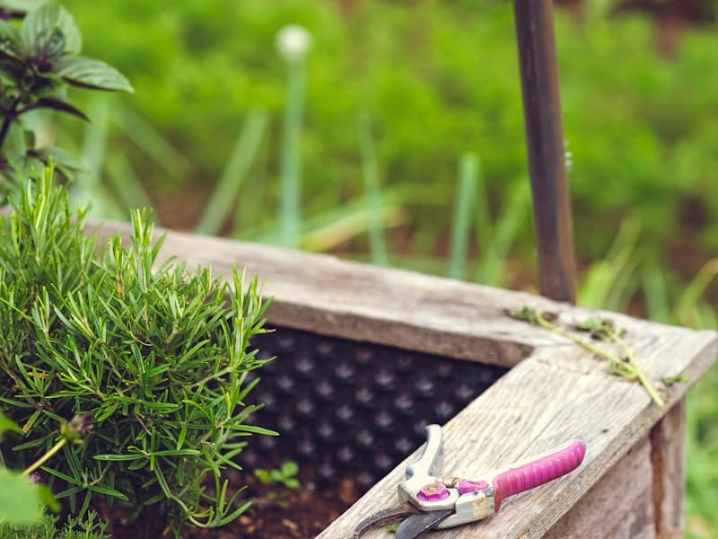 Container Gardening